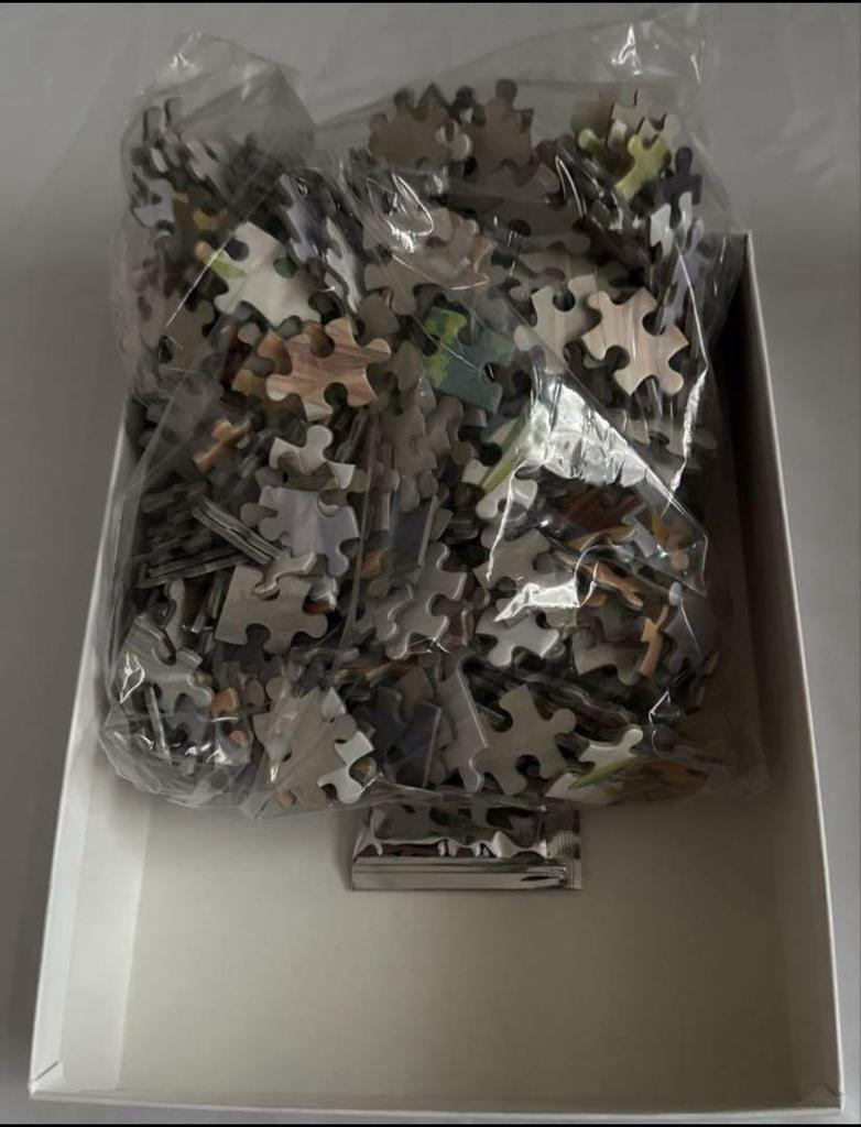 [USED] 500-piece Jigsaw Puzzle GirlFriend by Arata Bete Art Book Purchaser Bonus