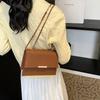 Trendy 2024 Fall Collection Stylish Minimalist Small Square Bag In Black Brown Khaki White