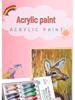 24-Color Durable Waterproof Acrylic Paint Set for Wall Art & Kids' Crafts