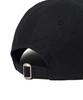 PHYSICAL DEPARTMENT Vintage Fruit Cap_Black