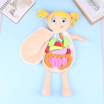 Bērnu Montessori rotaļlietas 3D puzle Cilvēka ķermeņa anatomijas lelle Ķermeņa orgānu mācību līdzekļi