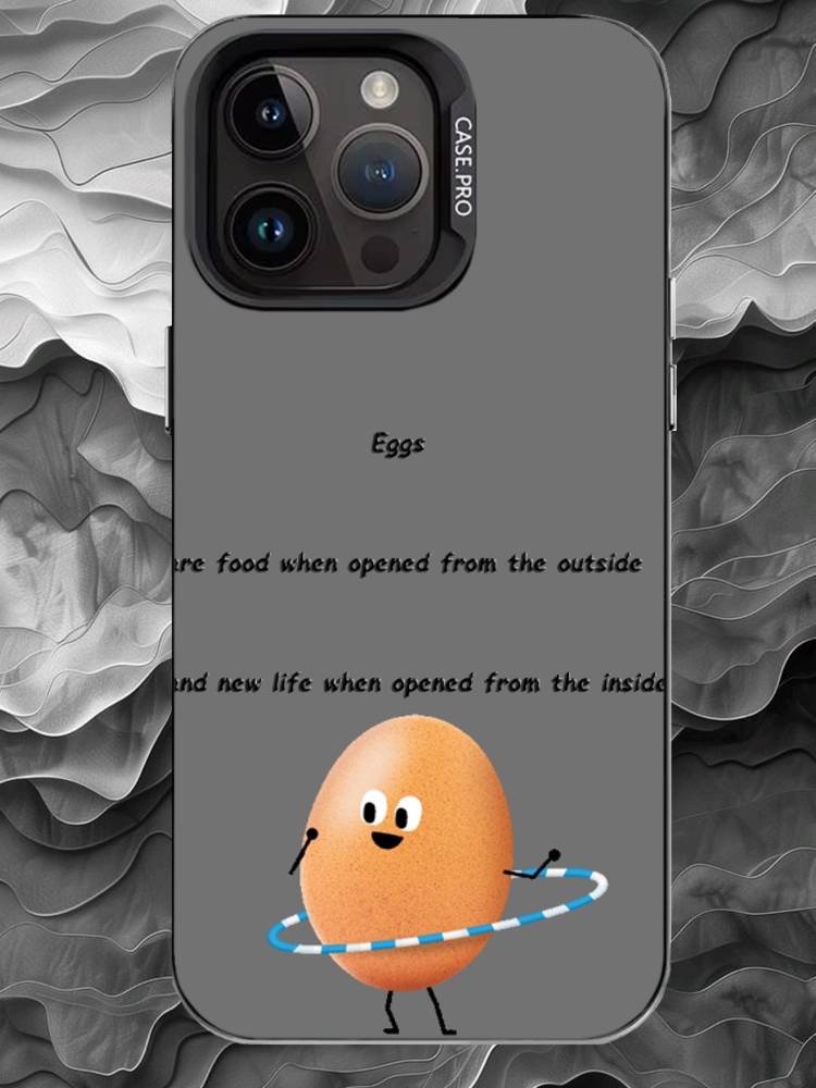 

E-egg Phone Case For iPhone 17 16 15 14 13 12 11 Pro Max Plus Silver Matte Black Cover iPhone17PRO