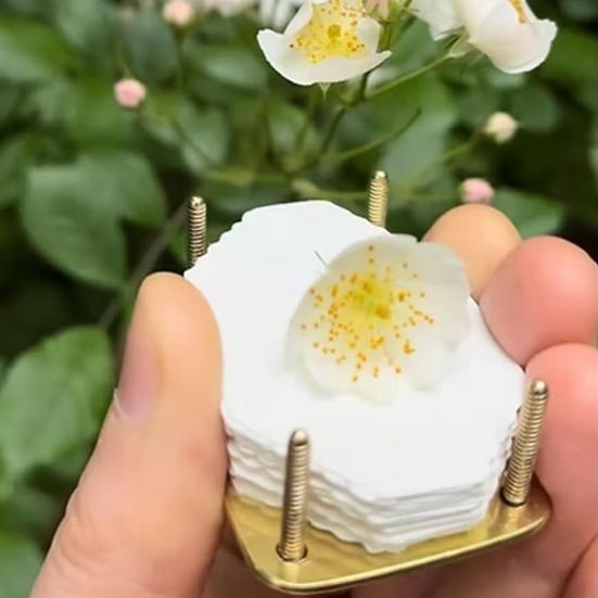 Blomstepresse Bærbar Mini Prægningssæt Kompakt Botanisk Kunstværktøj Bevaring Håndværk Presse Sæt til DIY Blomst