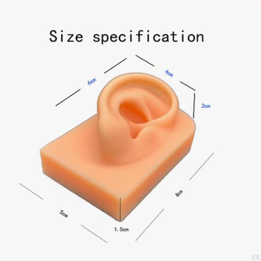 Modello di Orecchio in Gel - Strumento Didattico Realistico per Studio e Pratica