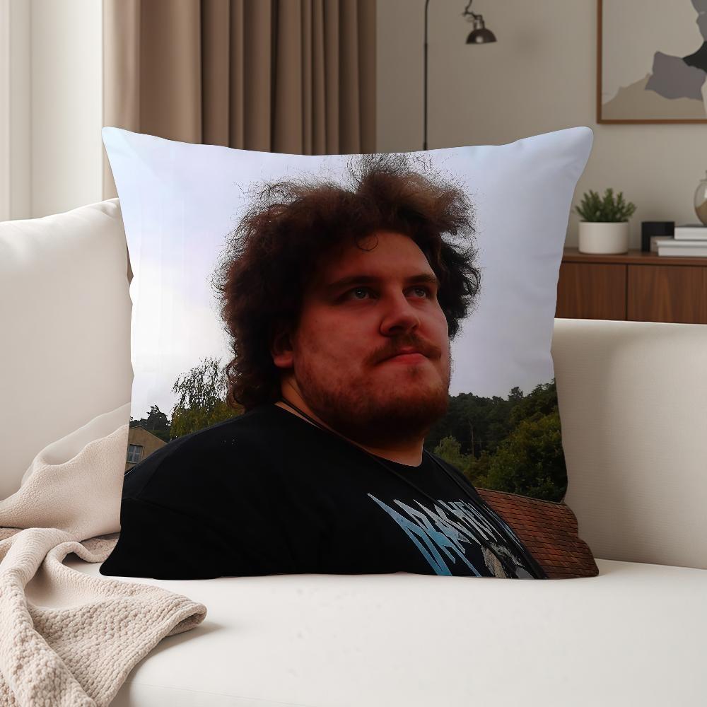 Rrainer Winkler Drachenlord Funny Pillow Case Suitable For Bedrooms Living Rooms Cars Home Decoration