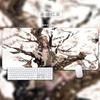 One Piece Leather Mouse Pad  Oversized Small Office Gaming Keyboard Pad Desk Pad Bristle Bracelet  Monkey D. Luffy  Roronoa Zoro  Decorative Desk Mat