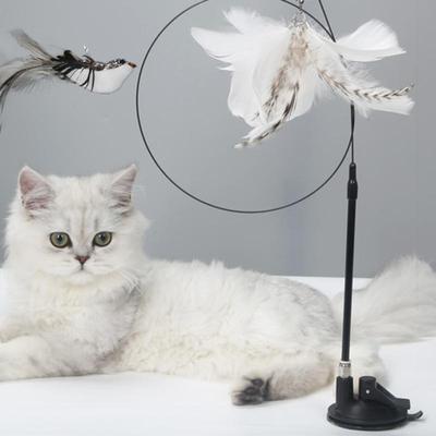 Odpinany Teaser Stick Mocna przyssawka Zabawna długa wędka Feather Cat Interaktywna zabawka