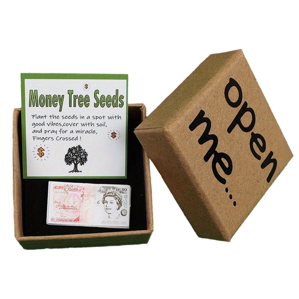 Long Distance Relationship Gift "Open Me" Money Tree Seeds Prank Gift Box For Birthday, Office Party, Christmas Valentines Gifts
