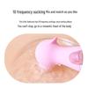 LILO Lai Le Little Seahorse Personal Massager for Women - Adult Erotic Vibrating Stick