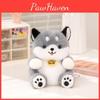 Kittens Cute Rabbits Raccoons And Panda Plush Dolls With Design Embroidery