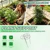 Cute Style Plant Support Metal Plant Support Frame Tool