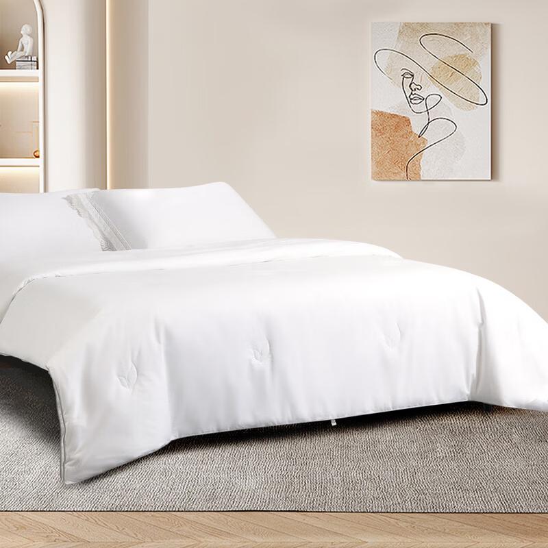 Mercury Home Textiles DH Cloud Rhythm Mulberry Silk All-Season Duvet