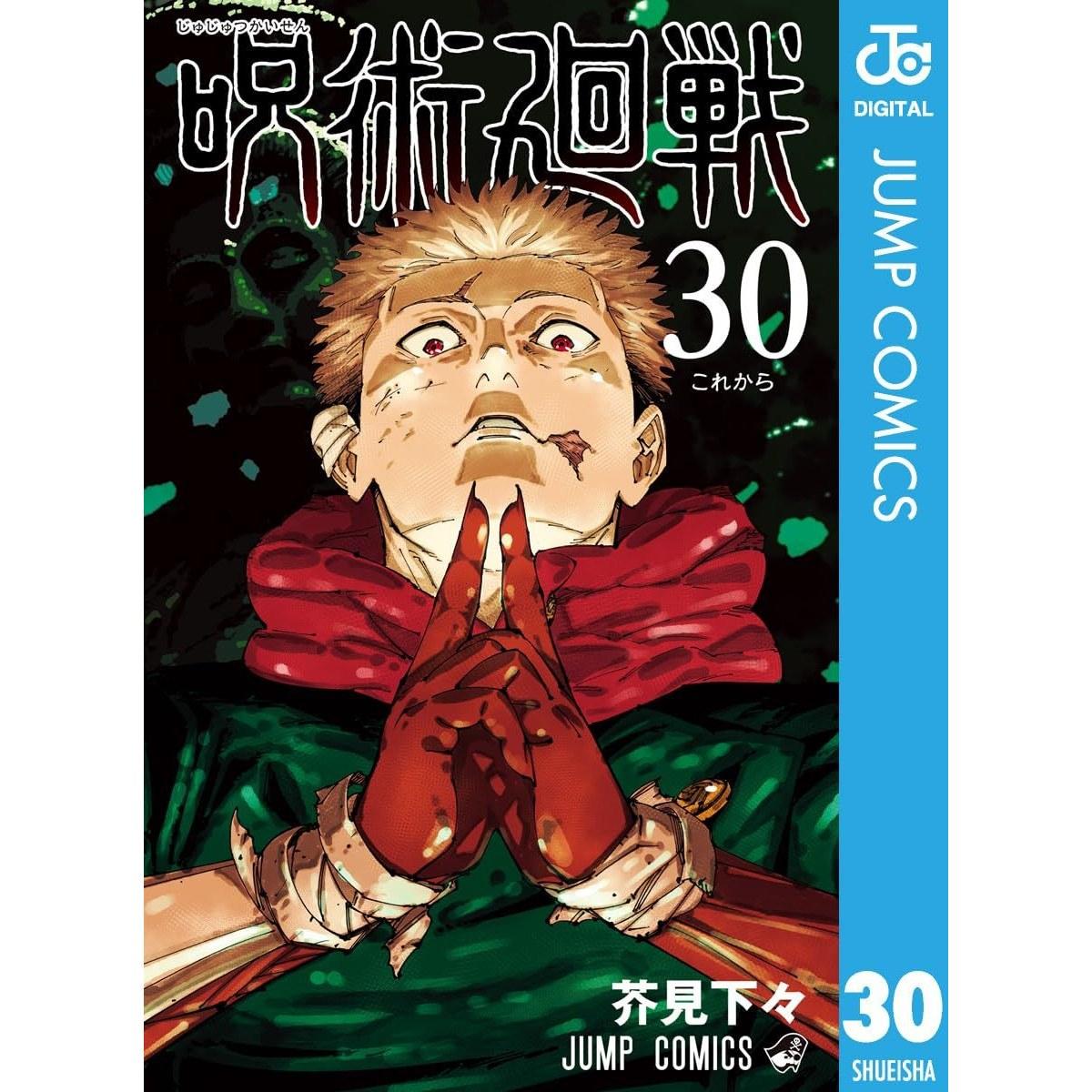 Jujutsu Kaisen 30 (Jump Comics DIGITAL)