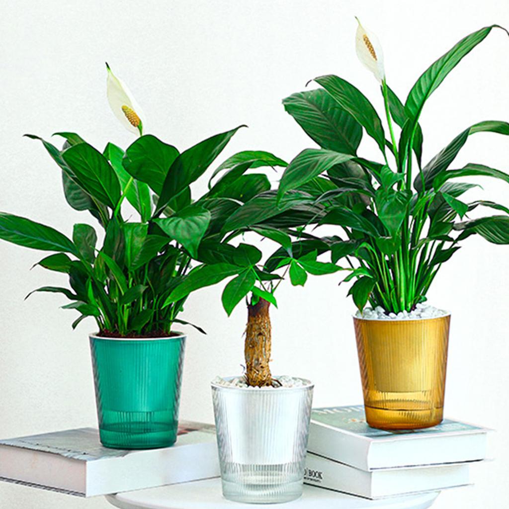 Lazy Flower Pot Automatic Water-Absorbing Flowerpot Transparent Plastic Self Watering Planter Plants Nursery Pot Garden Decor