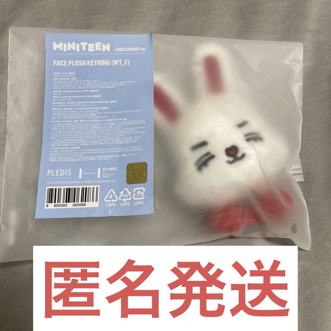 

[USED] seventeen seventeen miniteen scoups cherry key ring