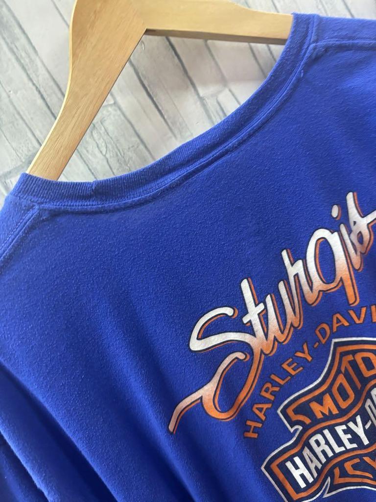 [USED] Vintage Harley-Davidson Eagle T-shirt, blue.