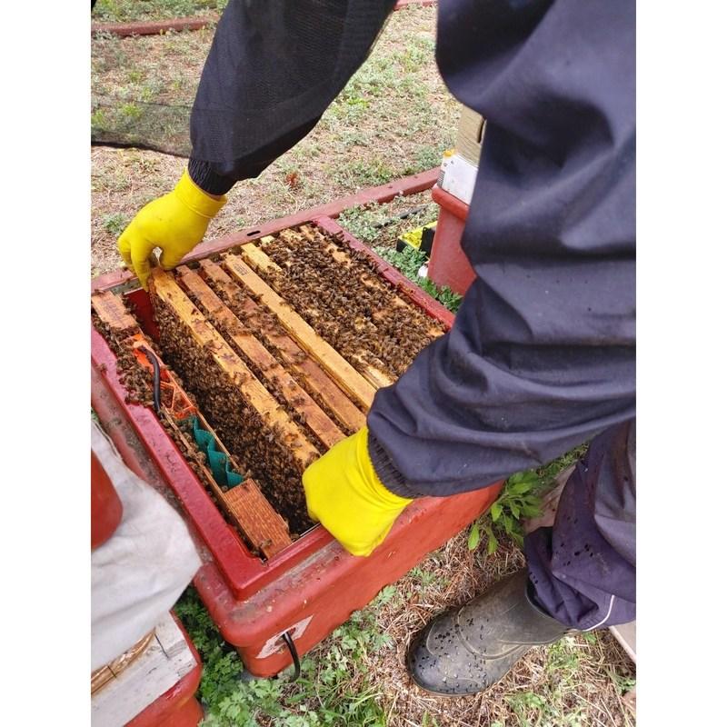 Ddabonfresh Honey Gift Set for Department Stores, 100% Domestic Acacia Wildflower Honey, No. 1, 1 Piece