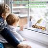 Acrylic Bird Feeder Clear Hanging Window Bird Feeder Birdfeeder Birdhouse Pet Bluebird Patio Garden Birdfeeder Feeding Tray