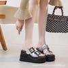 Belt Buckle Slippers Women's Summer 2025 New Fashionable Versatile Small Thick Bottom Word Beach Cool Slippers Tide