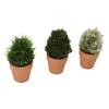 3PCS Artificial Potted Plants Set Plastic Indoor Small Fake Greenery Potted Plants for Home