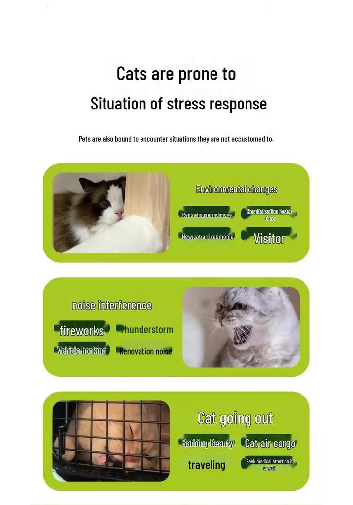 Forbidden Love Pet Calming Spray: Anti-Stress Solution for Cats