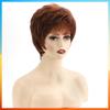 2025 Fashion Short Straight Wig For Women HW2358