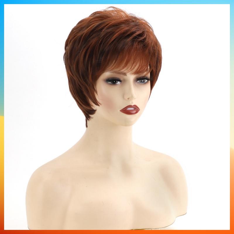2025 Fashion Short Straight Wig For Women HW2358