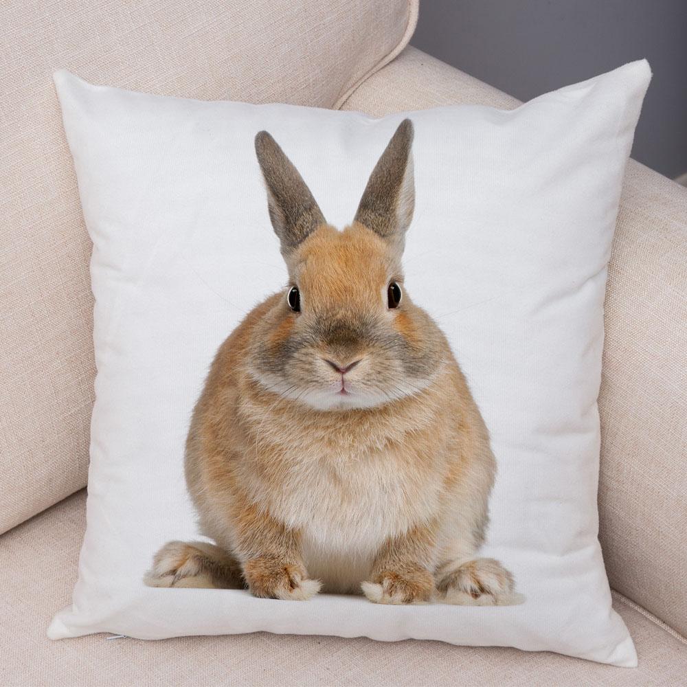 Home Sofa Kids Room Decor Cute Pet Animal Print Cushion Cover Pillowcase  Rabbit
