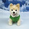 Christmas Dog Clothes Christmas Party Festive Atmosphere Hooded Pompadour Group Dress