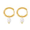 Korean-Inspired Natural Freshwater Pearl Earrings, 18K Gold-Plated Titanium Steel, Simple and Versatile for Women