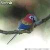 EUGY Macaw Paper 3D Puzzle A Fun Educational Toy for Elementary School Boys and As Well As Making It a Great - Girls, Adults, Gift.