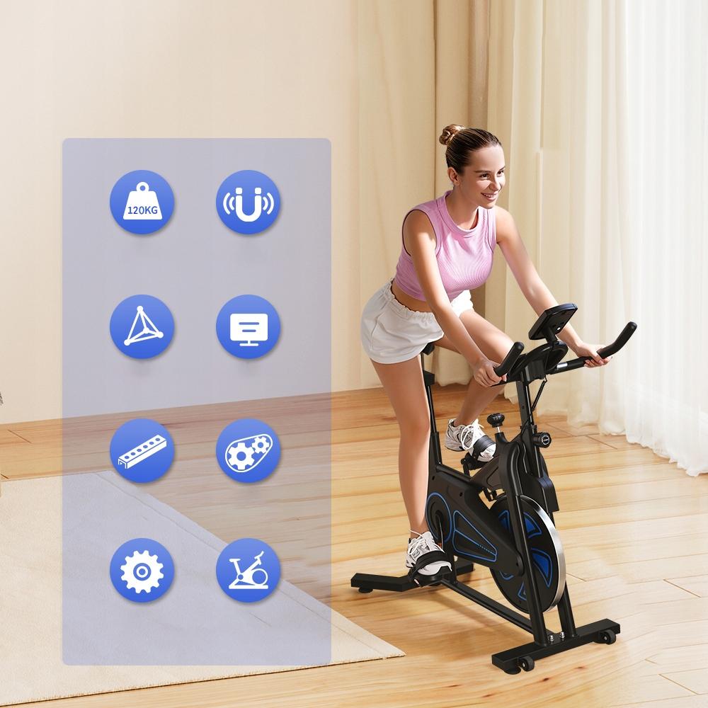 QK116C-DZ Magnetic Stationary Bike Spin Bike Wheel 10kg Professional