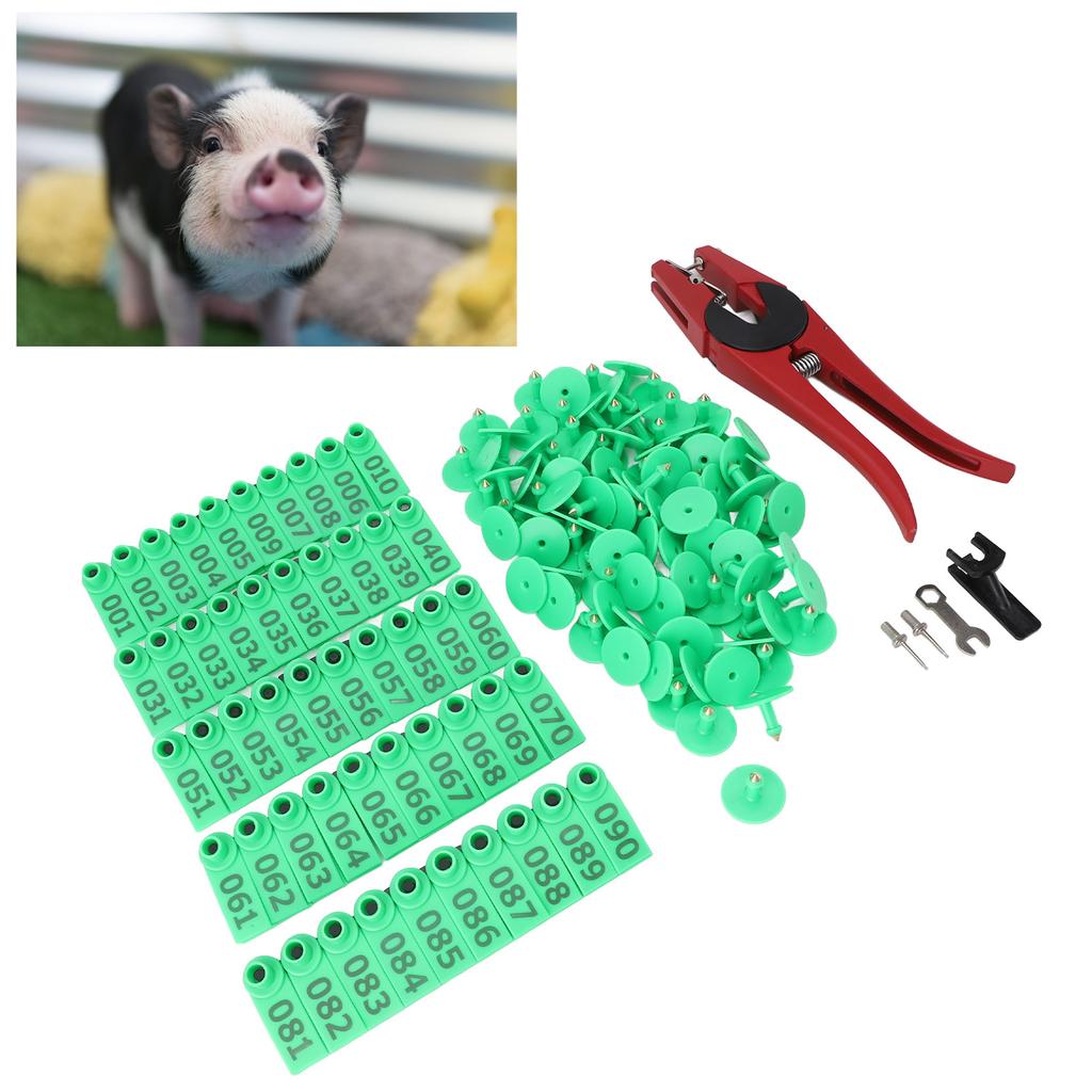 Ear   and Pliers Set Livestock Ear   Applicator and Bright Colors Cattle Ear   for Farm Animal Identification Card