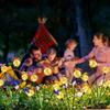 6/8 Head Butterfly Bobble Swing Light Waterproof Realistic Butterfly Solar Garden Lights Smart Sensor Decorative