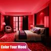 5m LED Strip Light, 600 Strings, 12V, Adjustable Brightness, Ambient Lighting, 2835SMD, Cuttable, Easy Installation, DIY, Double-Sided Tape, USB