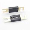 ANL vergoldete Auto-Audio-Sicherung & Halter: 100/150/200A Klinge