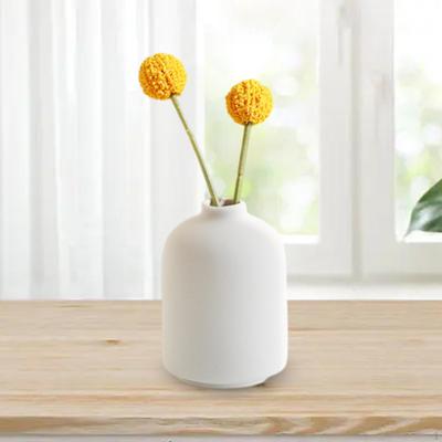 Ceramic Flower Container for Indoor Plants Desk Organizer Bud Vase Office Wedding Living Room