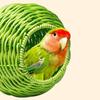Hanging Imitation Woven Bird Nest Spherical Squirrel Bed Pigeon House Hamster Bed  Bird Cages