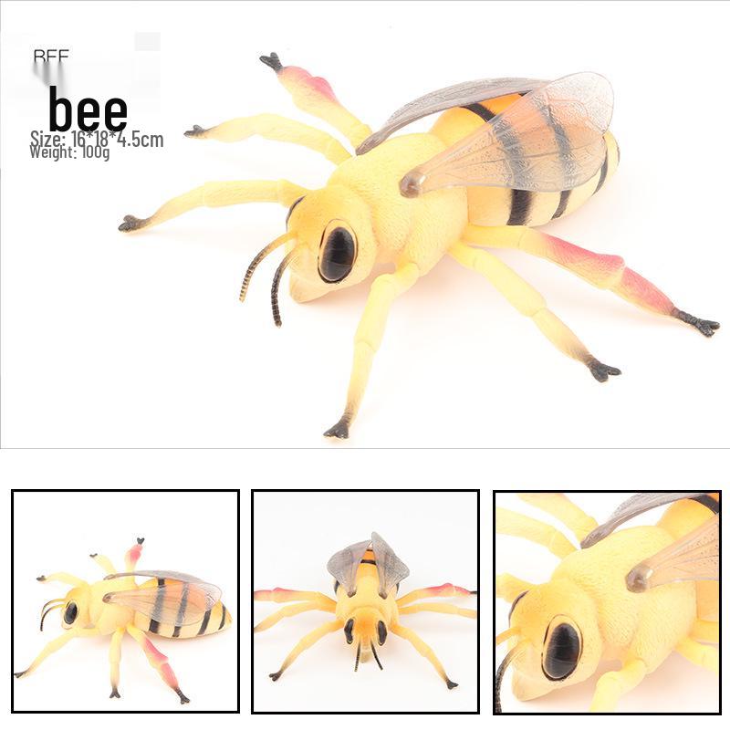 Large Insect Model Toy Set: Spider, Scorpion, Rhinoceros Beetle, Bee, Dragonfly