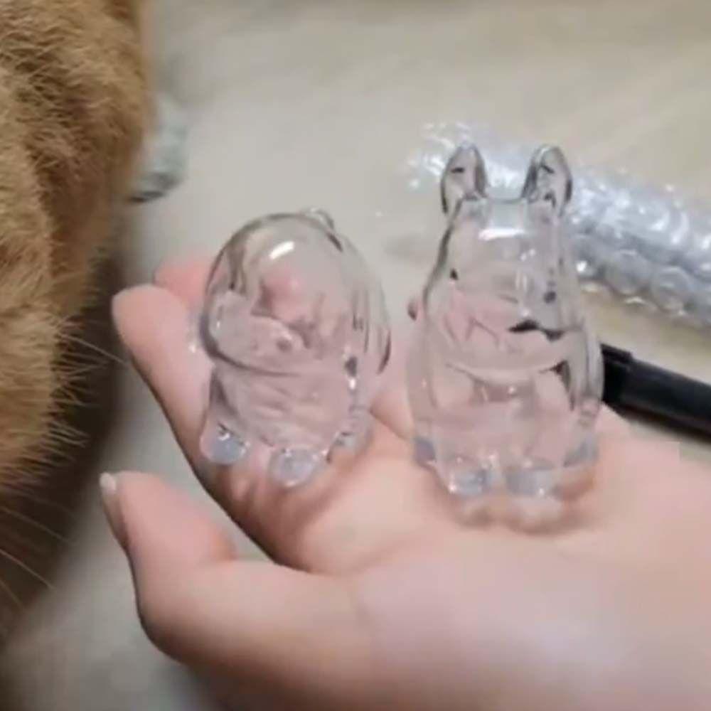 Transparent Acrylic Keychain Cat Hair Storage Capsule Dog Hair Storage Container  Pet Souvenirs