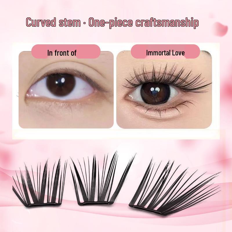 Large Capacity Mascara Book: Mixed Pack of Thin False Eyelash Strips & Individual Clusters for a Natural Look.