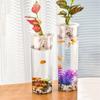 Cylinder Hydroponic Planter Vase Transparent Hydroponic Fish Tank  for Fish Green Plant