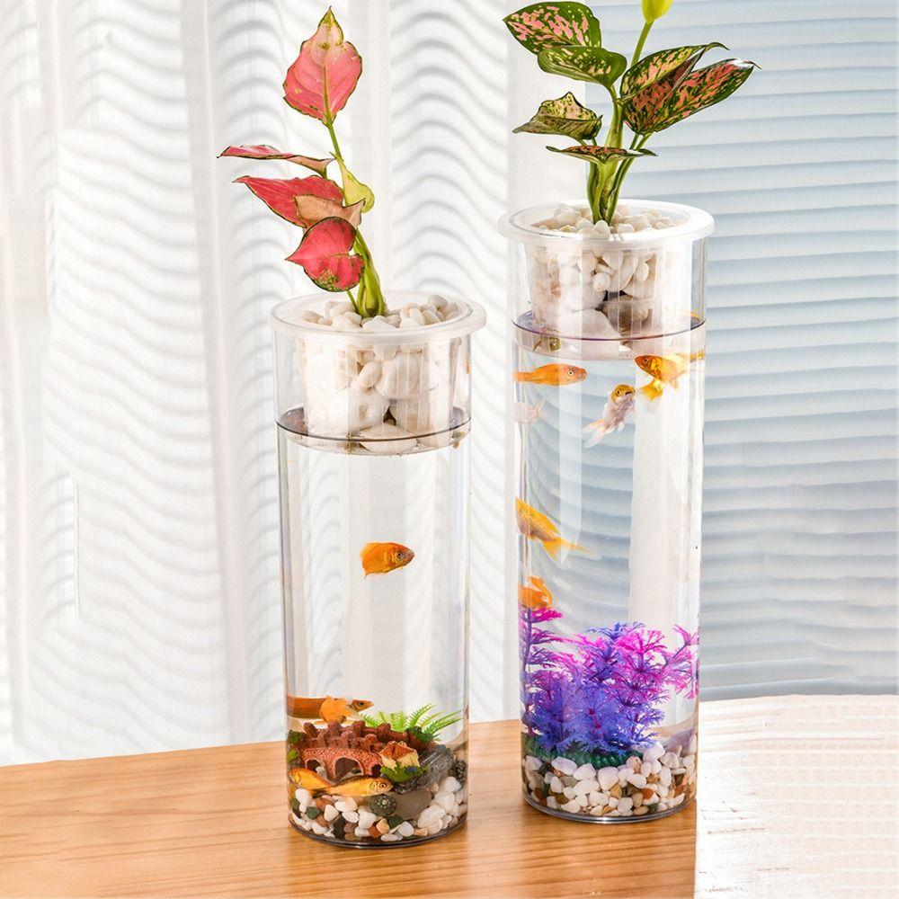 Cylinder Hydroponic Planter Vase Transparent Hydroponic Fish Tank  for Fish Green Plant