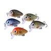 5-teiliges verpacktes Rock-Köder-Set 2,7CM-1,5G Kunstköder - Kleiner fetter simulierter Fisch