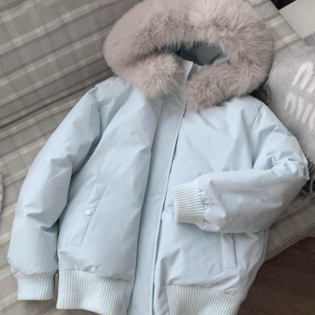 Blue hooded big fur collar down cotton clothes women's design sense niche autumn and winter clothing warm jacket pie overcome