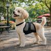 Breathable Mesh Dog Physiological Pants Washable Anti-Harassment Pet Underwear Reusable Dog Diapers All Seasons Use