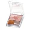CANMAKE Glow Fleur Cheeks 14 Tekli Gül Çay Fleur 1 adet (x 1)