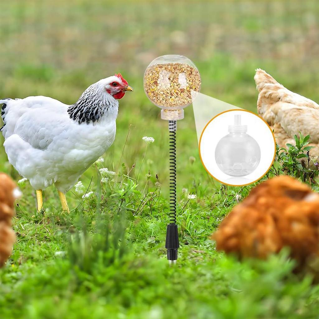 2pcs Swing Chicken Feeder Chicken Coop Pecking Toy for Boredom Busting Poultry Treat Dispenser for Boredom Busting