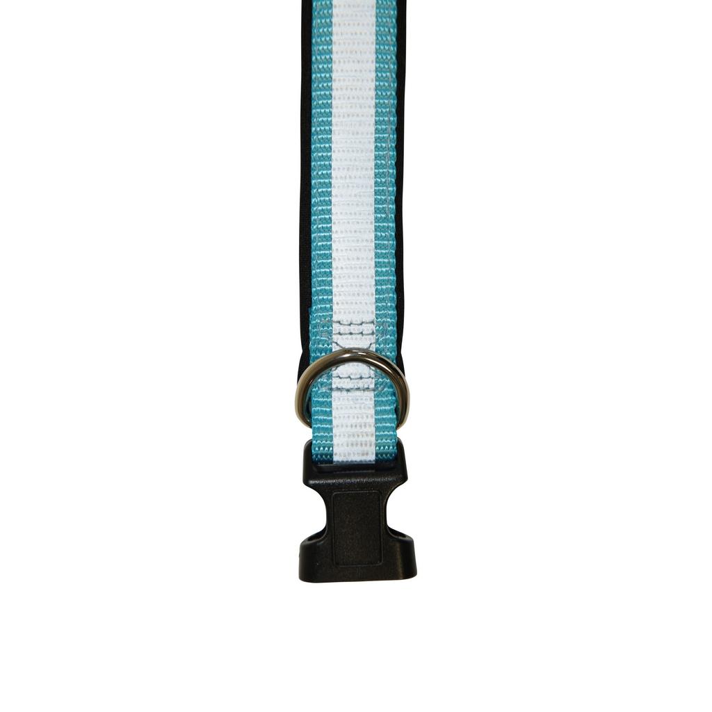 Jackson Pet Co Reflective Dog Collar