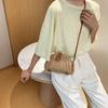 Satteltasche Damen 2025 Sommer neue Mode lässige gewebte Tasche Trend vielseitige Nische Messenger Strohtasche